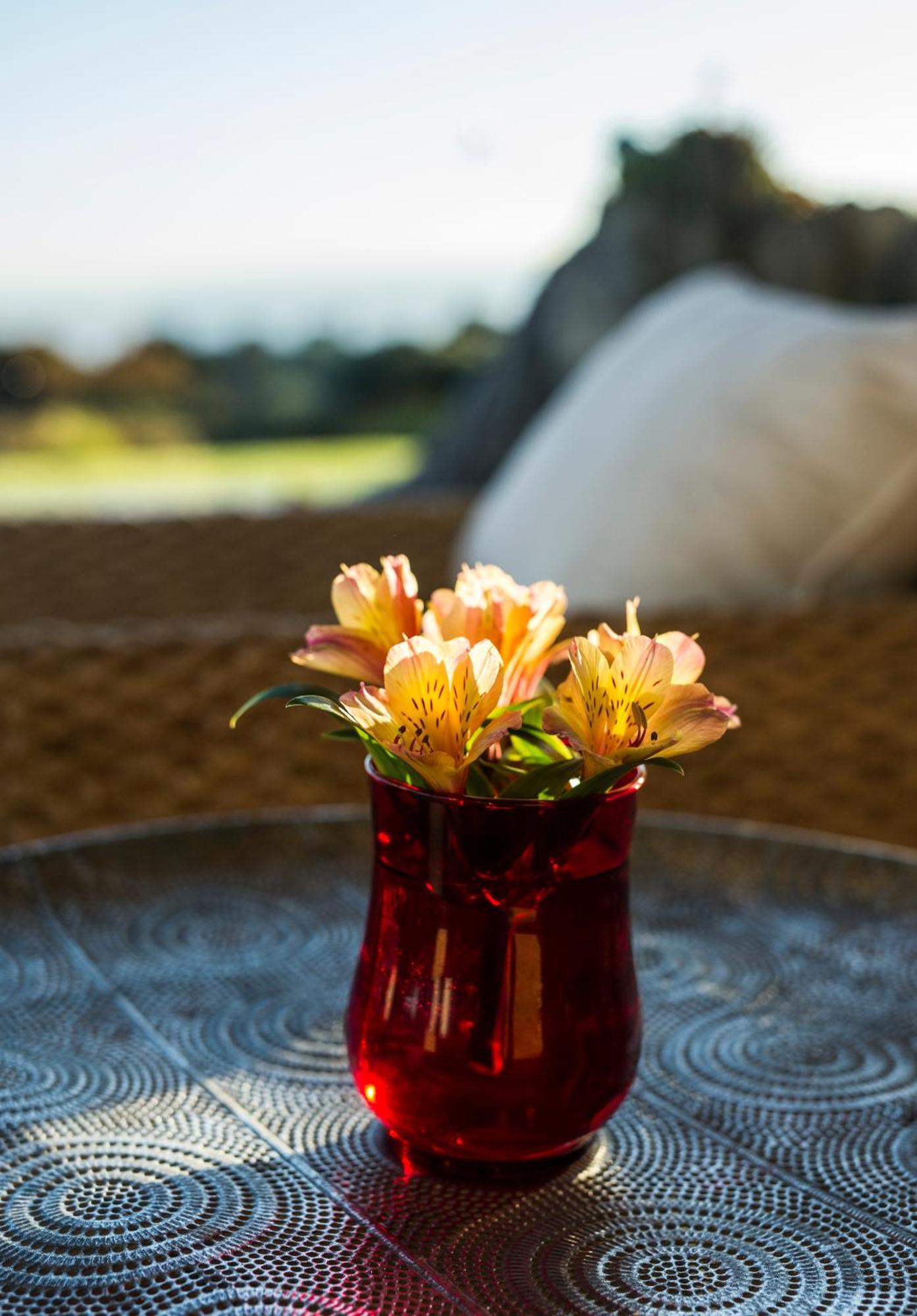 Matapouri & Tutukaka Spectacular Coastal Views- Aroha Luxury Guest Suite 外观 照片